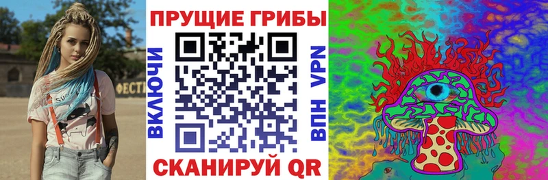 купить наркотик Каргат Псилоцибиновые грибы ЛСД